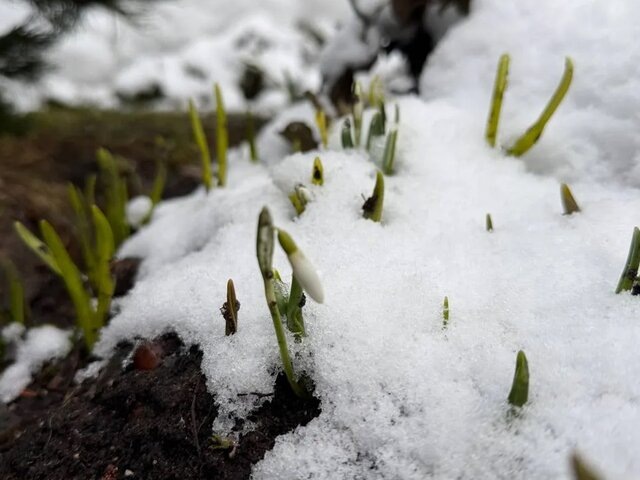    Фото: MAX/"Светлана Акулова"