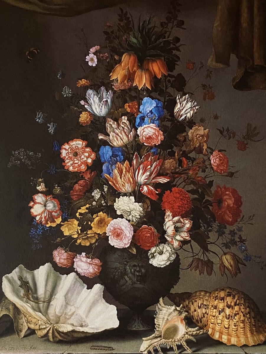 Балтасар ван дер АСТ. Натюрморт с букетом цветов в вазе и раковинами.