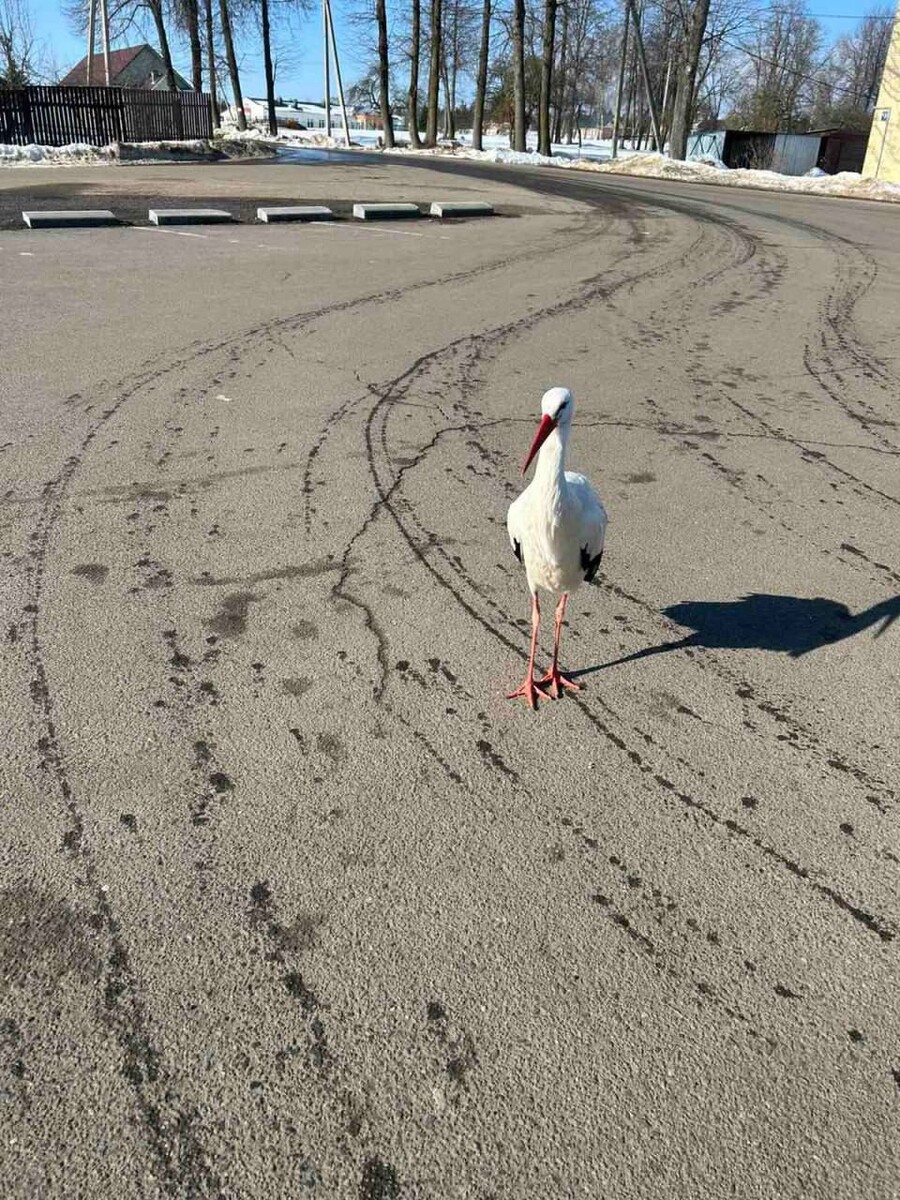  © «Метеовайб», Telegram