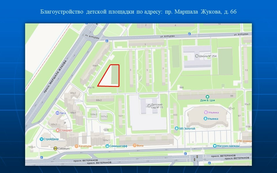 Фото: пресс-служба Смольного