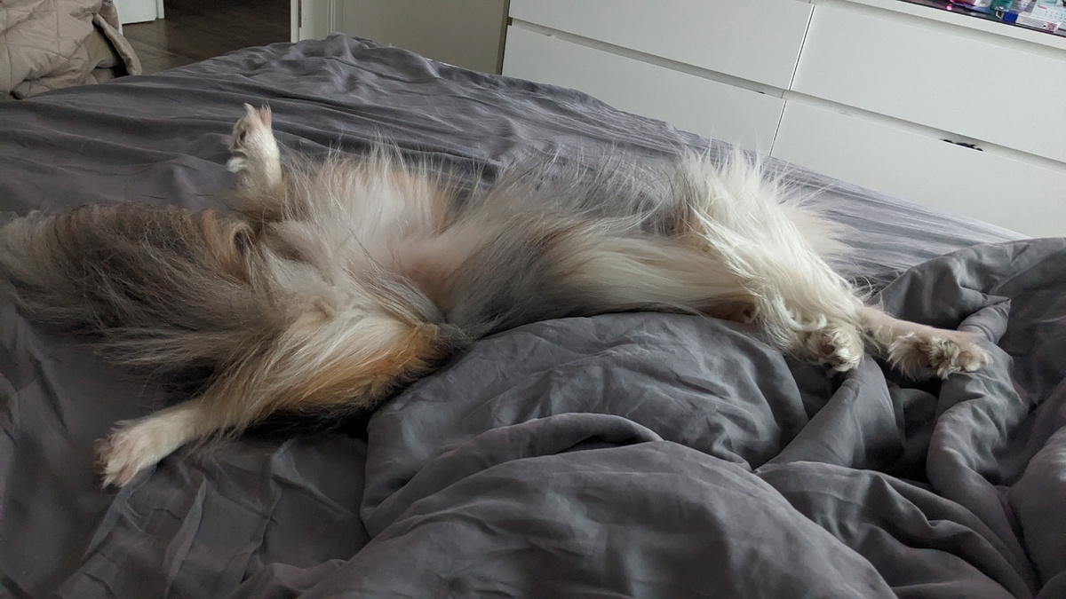 Баловень судьбы  💕