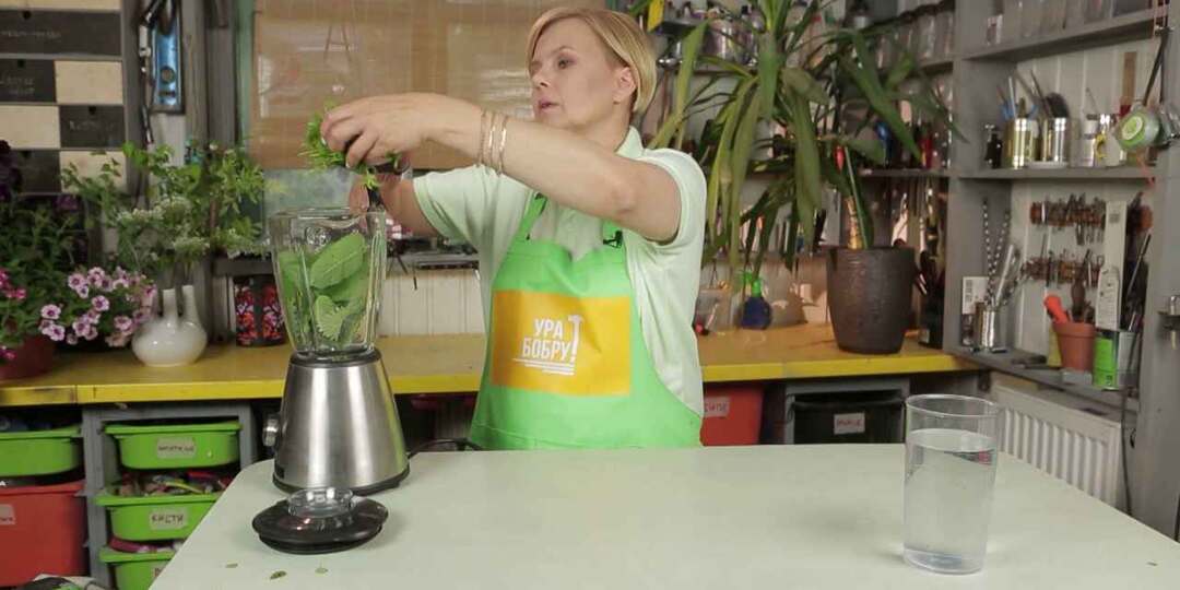 Подкормка-смузи для растений