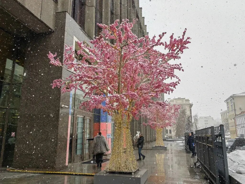     © "Интерфакс". Марина Леонова