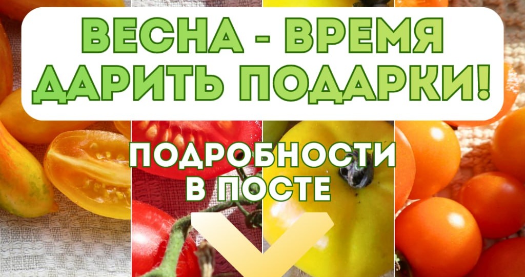 Друзья, пока не поздно, решила разыграть наборы семян и книги в моих группах