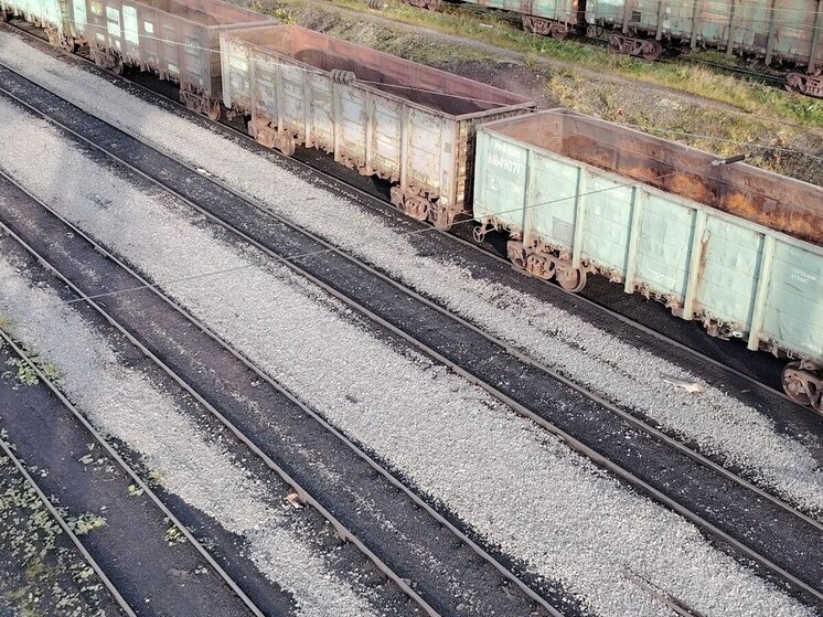     Фото: архив МК в Питере.