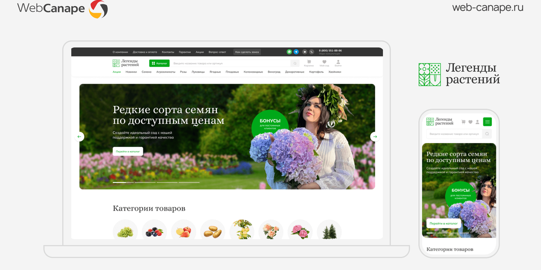 Как мы запустили рекламу для питомника растений и вышли на 300+ заявок в месяц