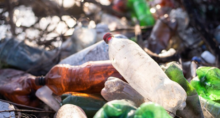    Фото: сайт freepik.com