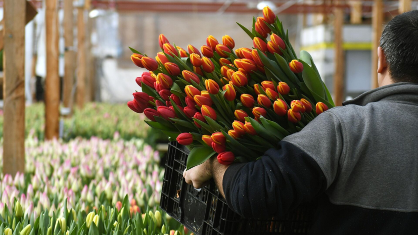   РИА Новости