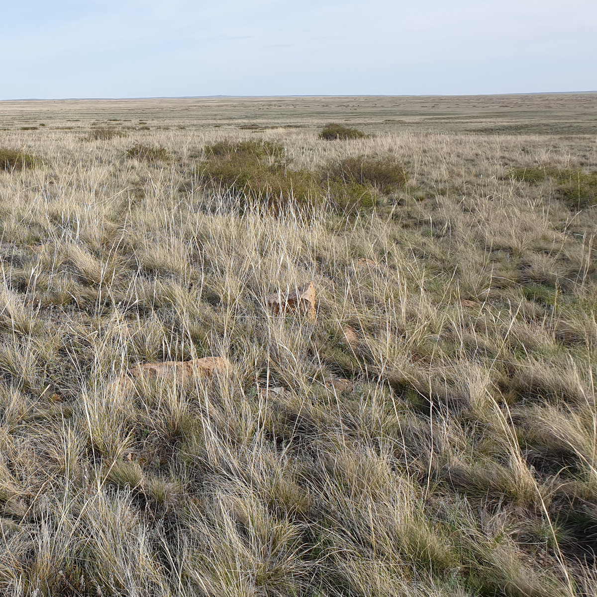 Степной автобан