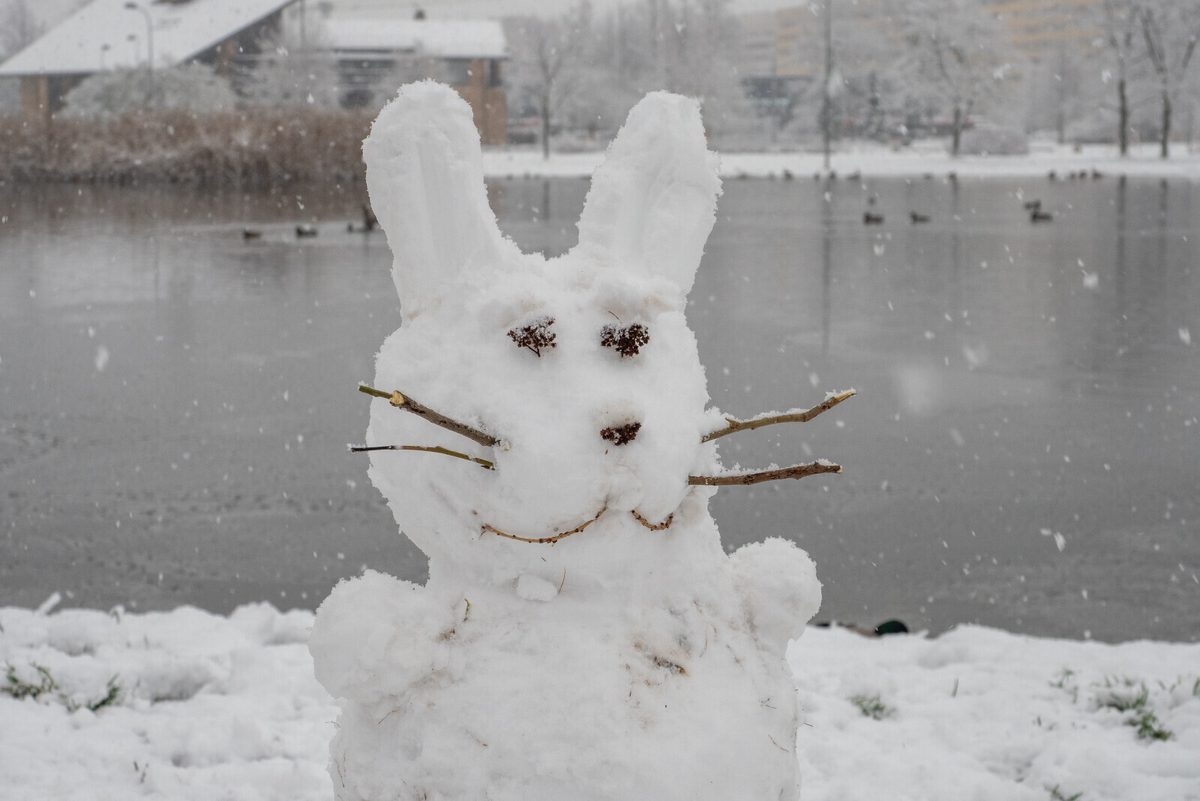 Фото: Олег Золото