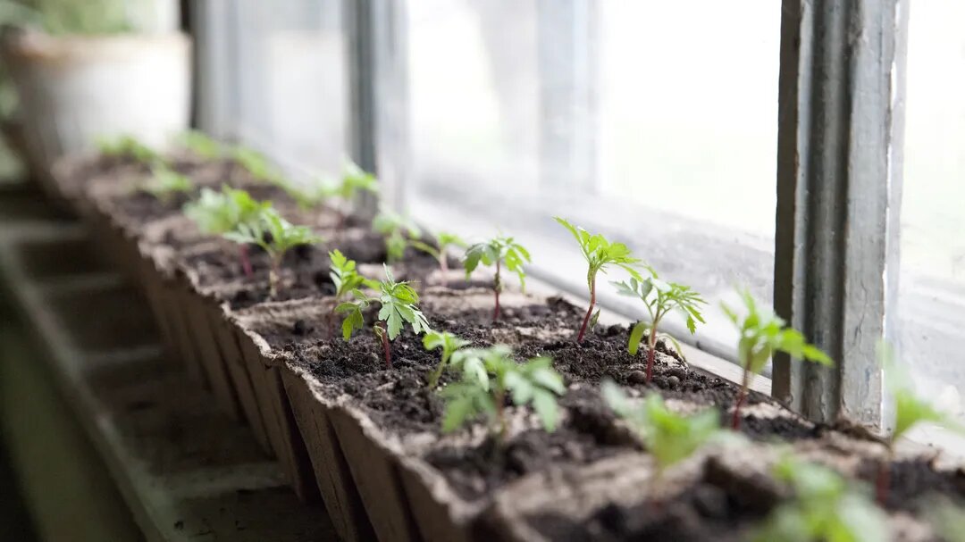 / Фото: медиасток.рф