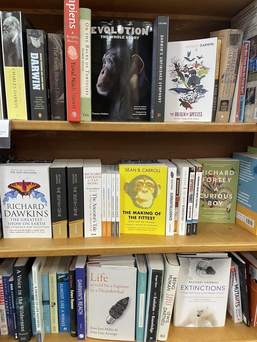 Книжная Англия