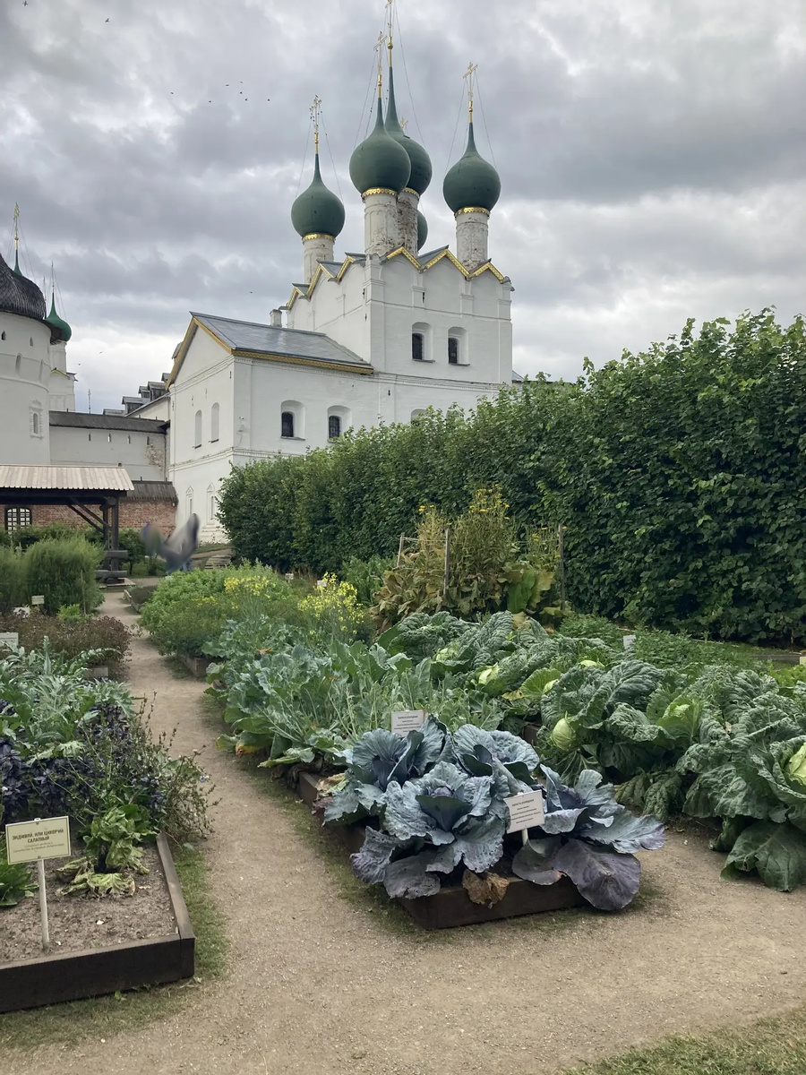 Аптекарский огород