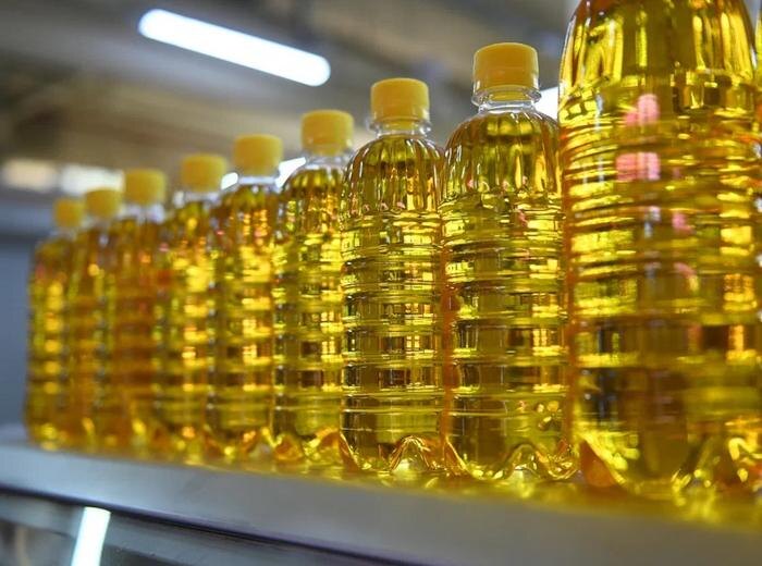 Обложка © Life.ru