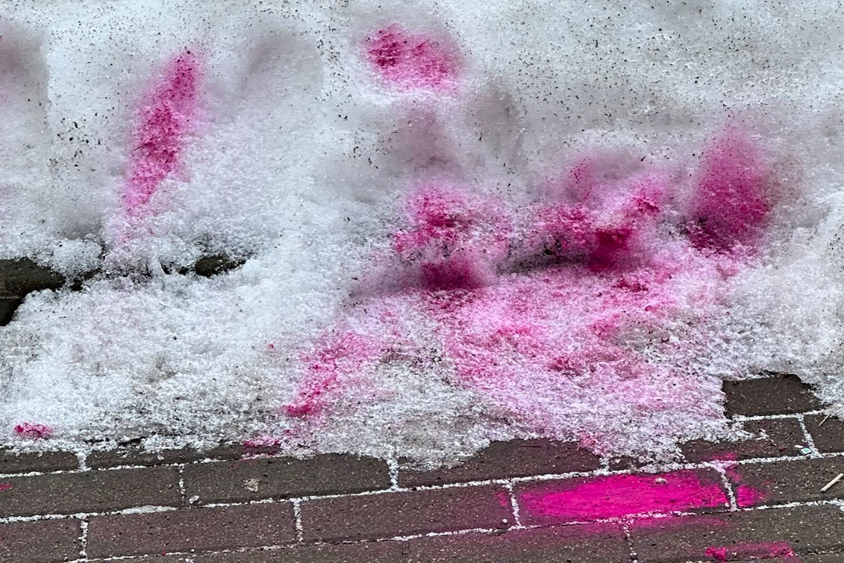    Фото: margie.vs / Threads