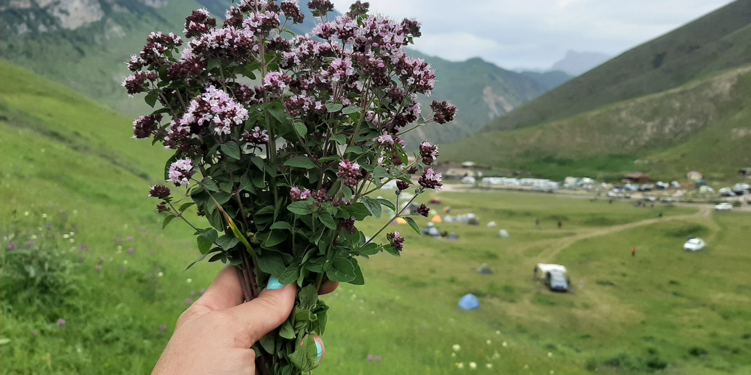 Чегемское ущелье: дорога, водопады, где остановились, троллей и прогулка по склонам горы Зинки