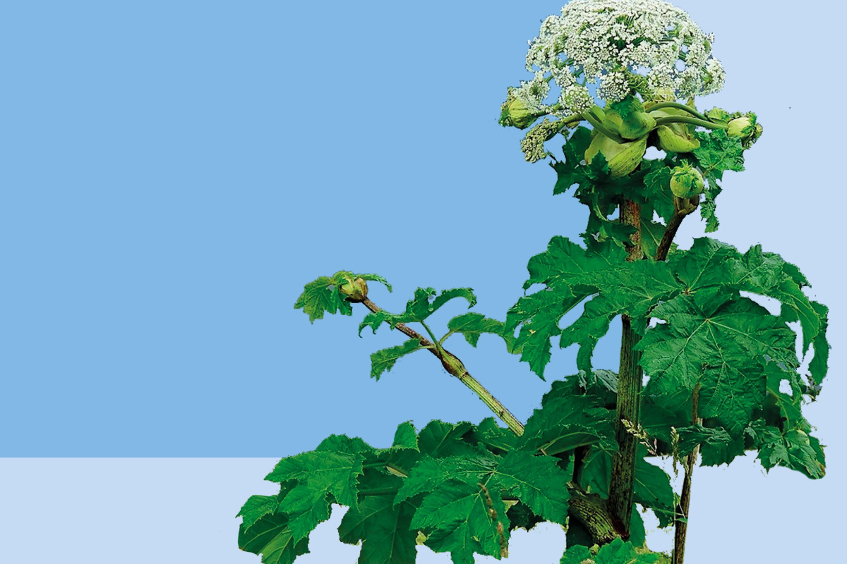    Фото: ФБУЗ «Центр гигиенического образования населения» Роспотребнадзора