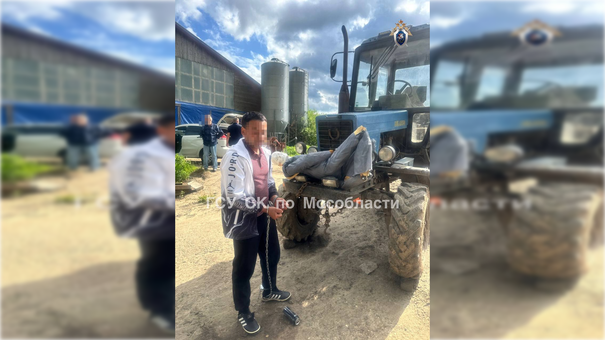 Фото: пресс-служба ГСУ СК по Московской области