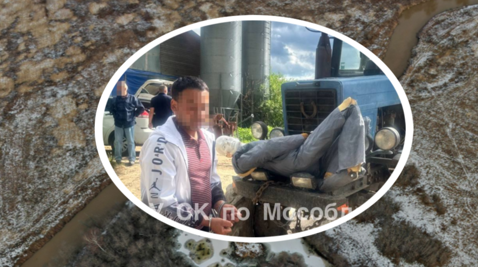 Фото: ya.ru / пресс-служба ГСУ СК по Московской области