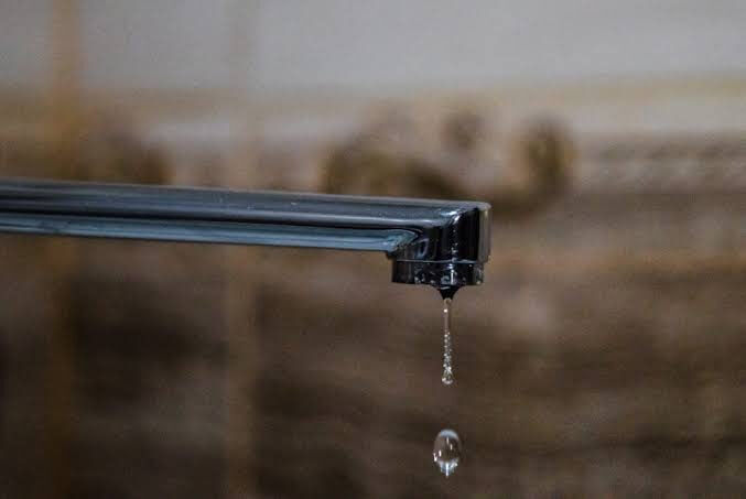 Фото: СвоёТВ/ Сергей Пархисенко