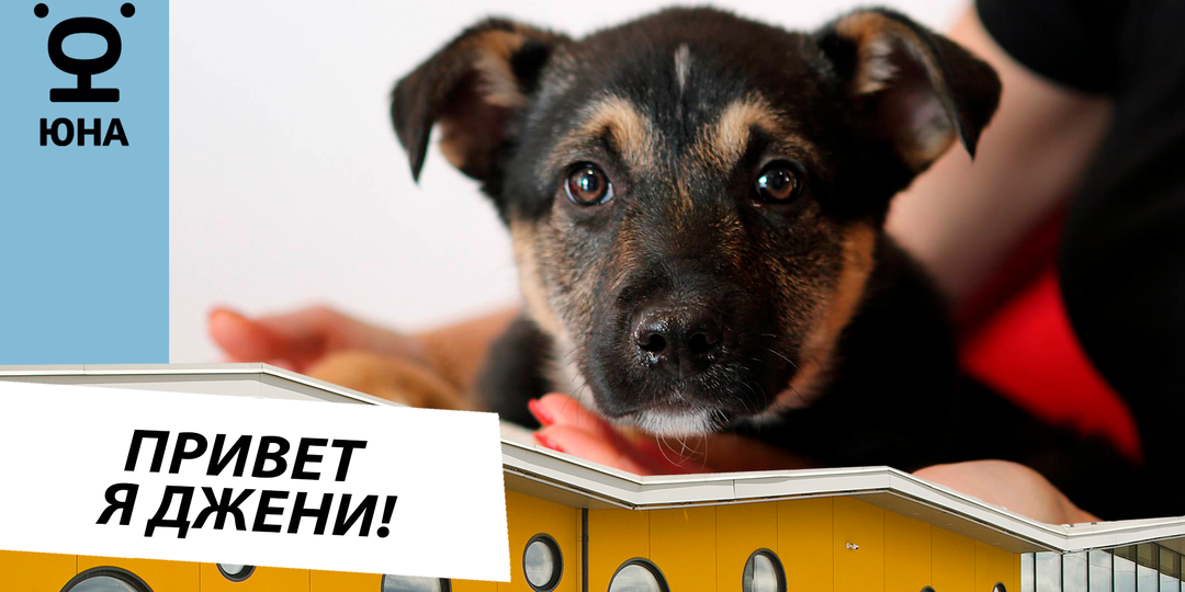 Привет, меня зовут Джени!