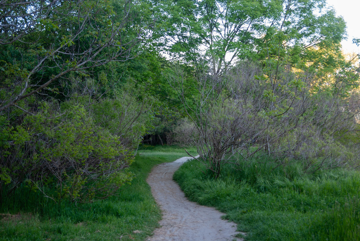 Изображения из личного архива: листайте; (без правки ББ и цвета)