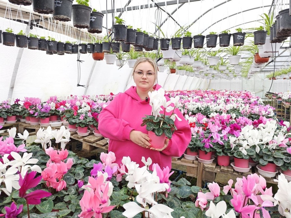    Кристина Драчева вырастила тысячи цветов к 8 марта Александра АНТОНОВА