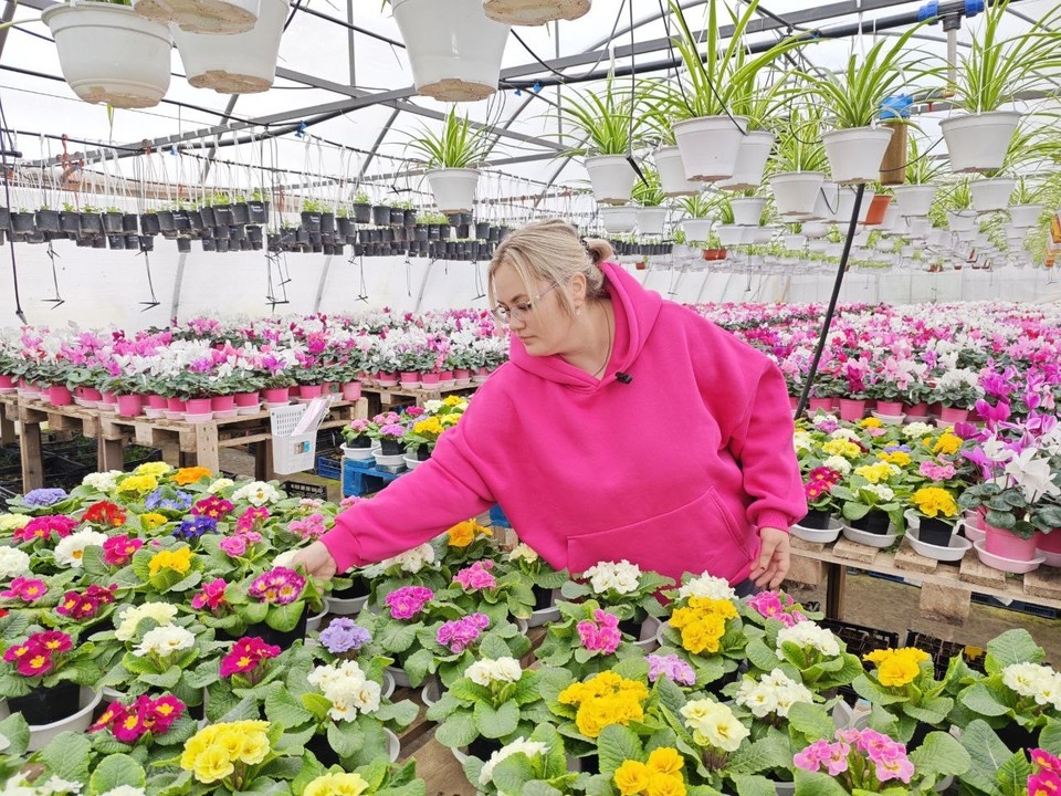    Кристина Драчева вырастила тысячи цветов к 8 марта Александра АНТОНОВА