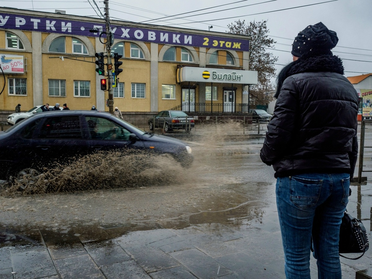    Фото: Александр Губарев Юра Белый