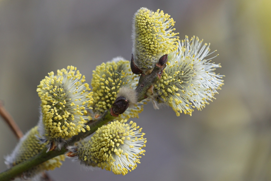    Сергей Булкин/NEWS.ru