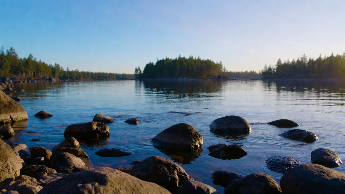 Почему нет сил и денег? Чакра Свадхистана: энергия радости, которая изменит вашу жизнь Дмитрий Петров📷
