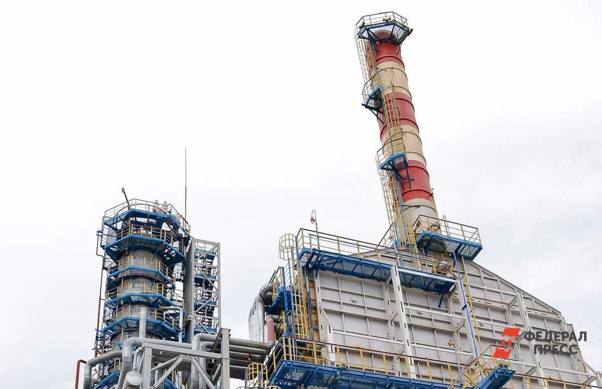 В этих условиях Россия оказывается в выигрышной позиции, так как может беспрепятственно поставлять свои углеводороды на азиатские рынки, отметил эксперт.  Фото: Фото: ФедералПресс / Елена Аталыкова