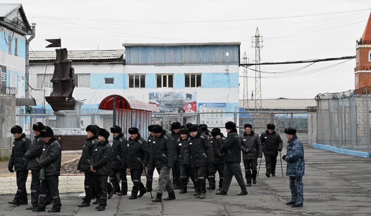     Колония. Источник: rbc.ru Автор фото: Илья Наймушин / РИА Новости