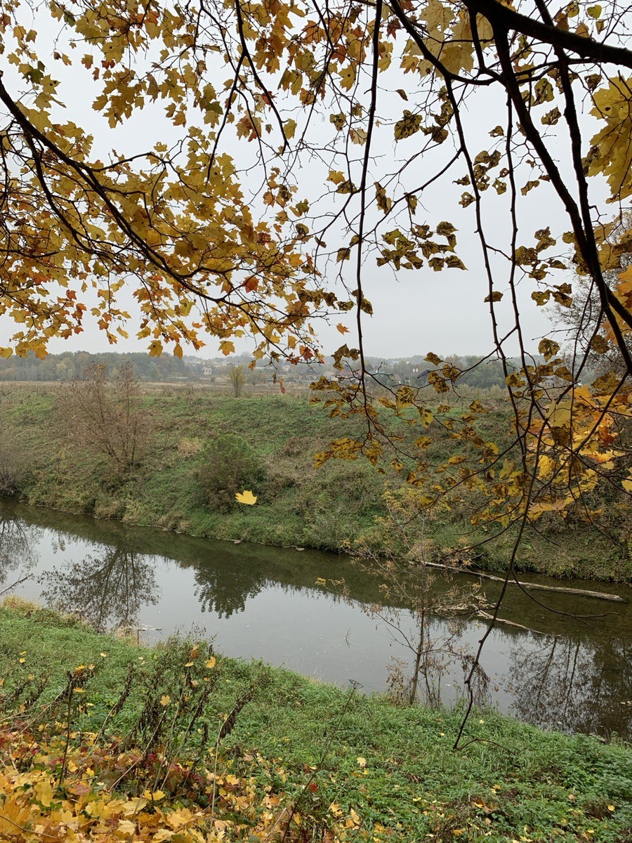 Осень в Тарусе красочная