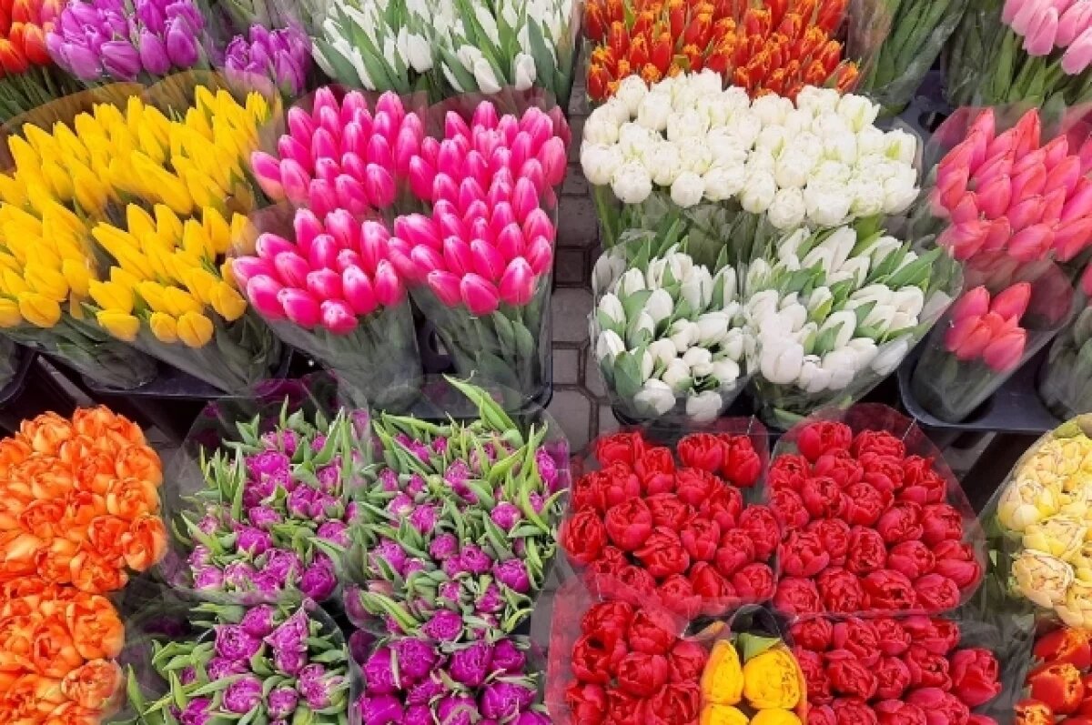    10 вопросов флористу.