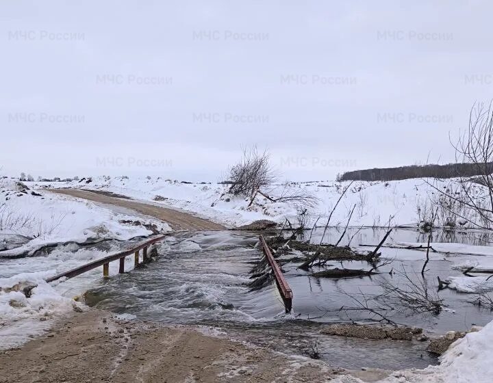    Фото: МЧС Рязанской области