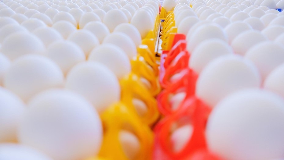 Автор фото: Валентин Беликов / "ДП"