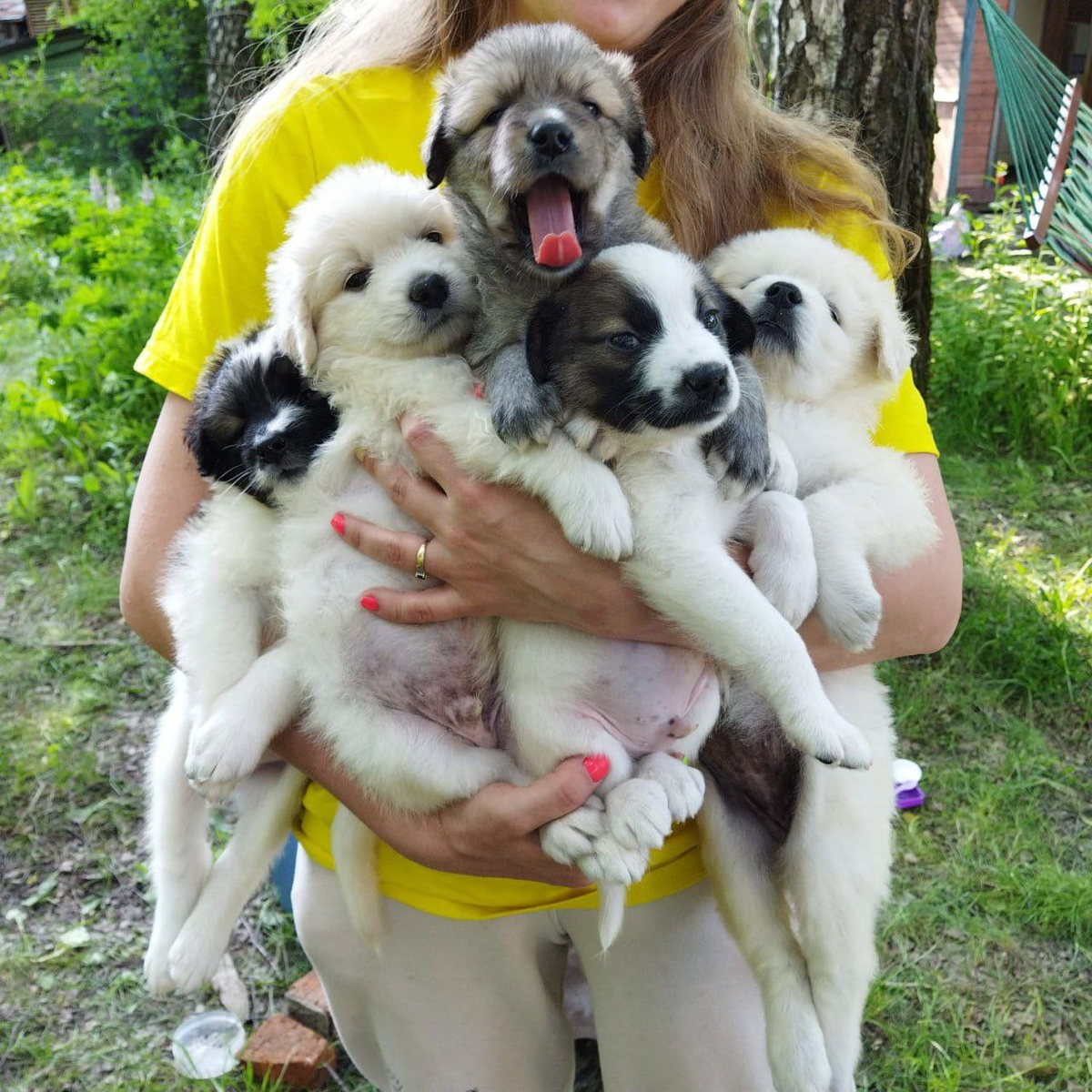 май 2022 Микки, Донни, Галелей, Да винчи, Теша