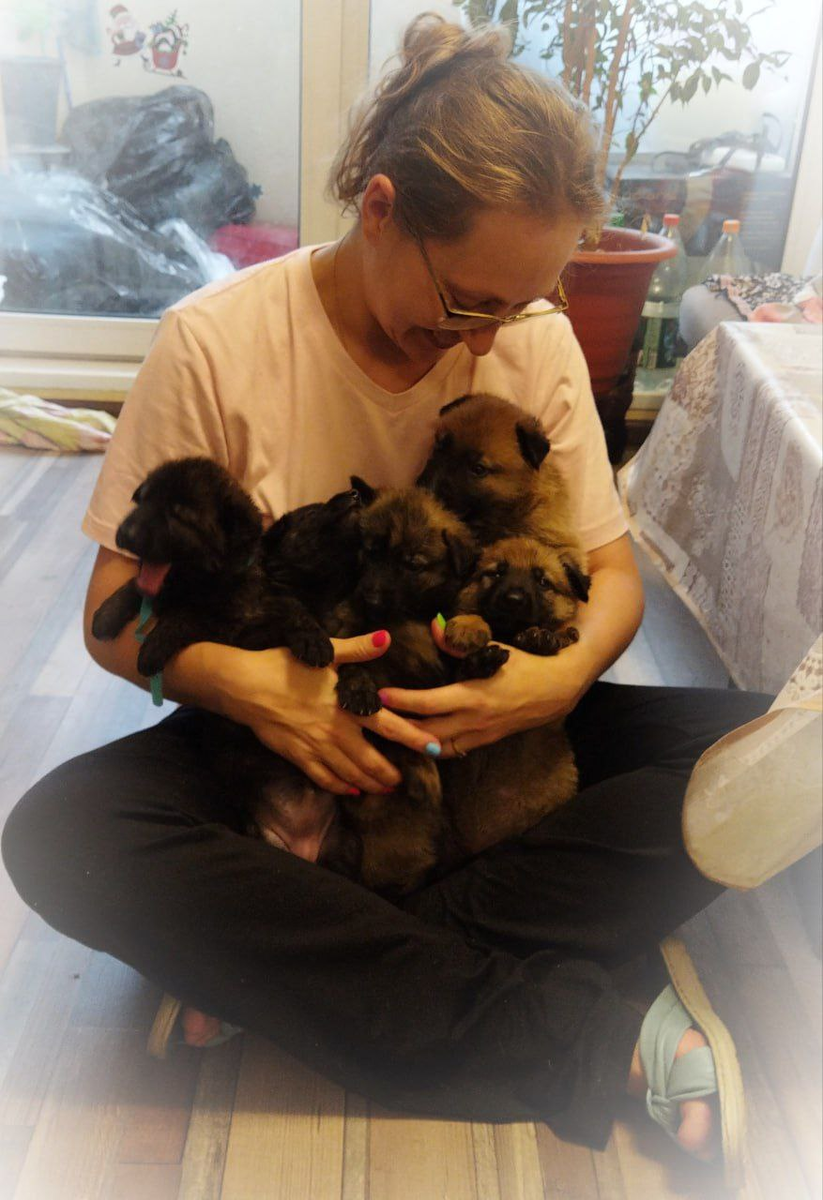 Байкал, Белочка, Розочка, Элли, Гуддини, Серж