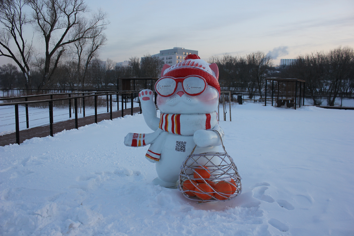 Кот и мандарины