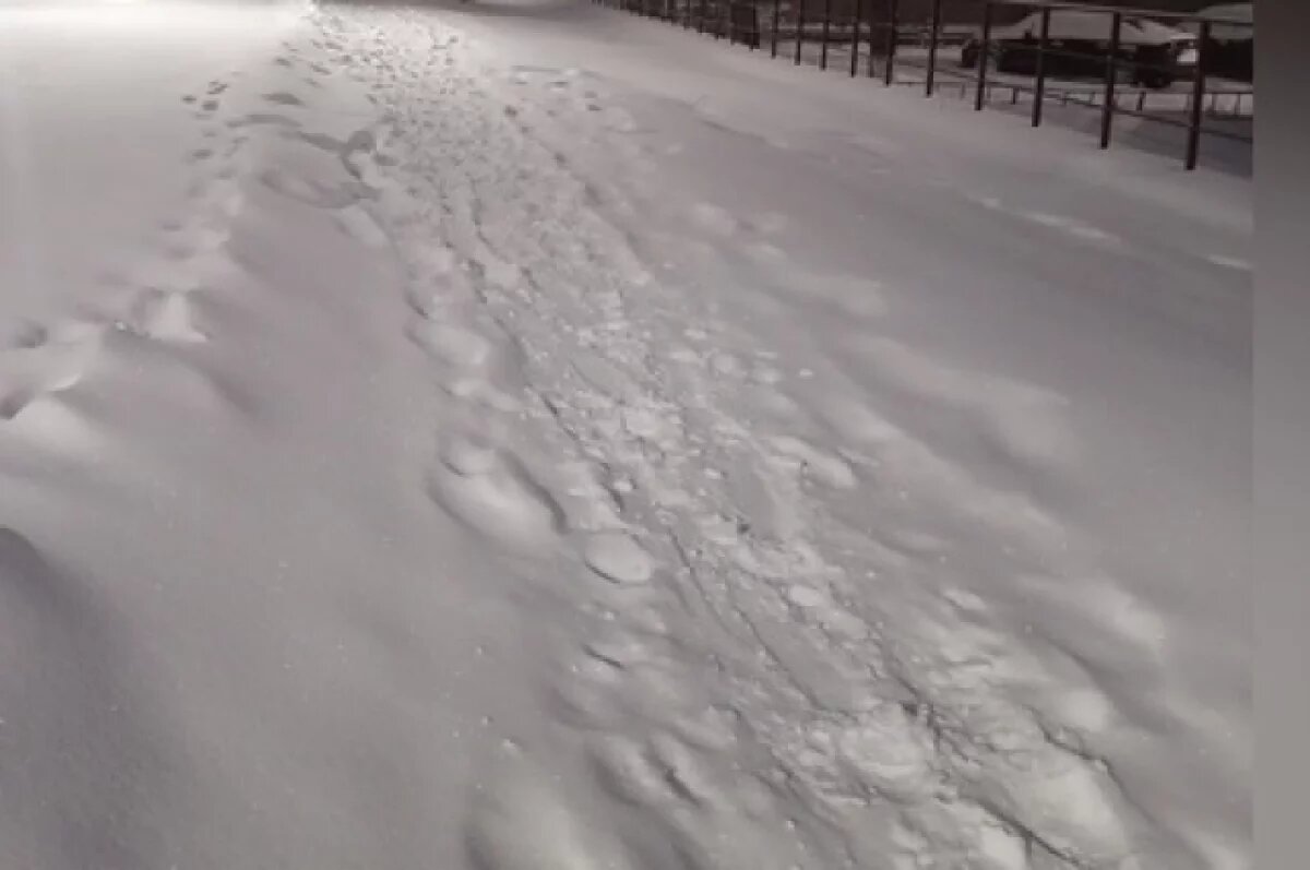    В Кваркенском районе в ночь на 5 марта перекрыли дороги до 10 утра