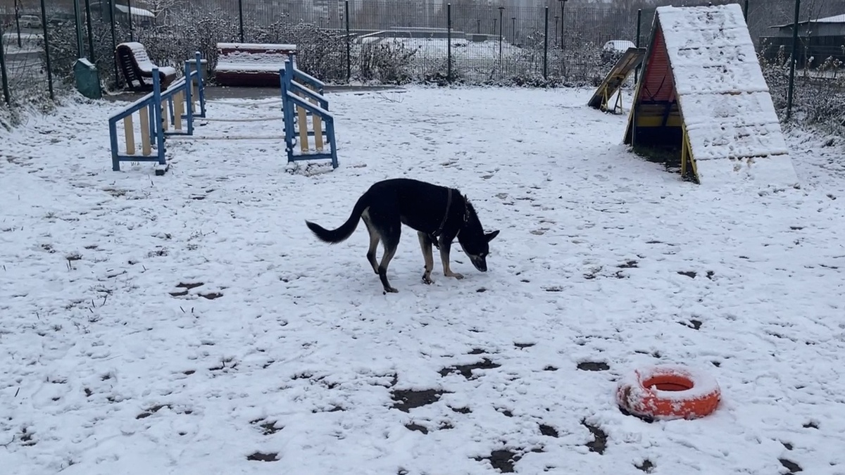 Это я, как раз, на площадке. Но... До того, как кое-что произошло...
