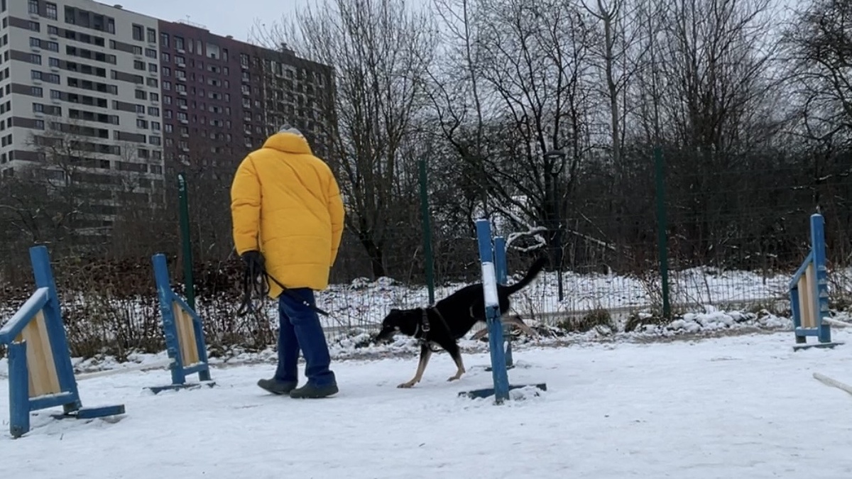 Что ж... Я пытался прыгать 🤷‍♂️