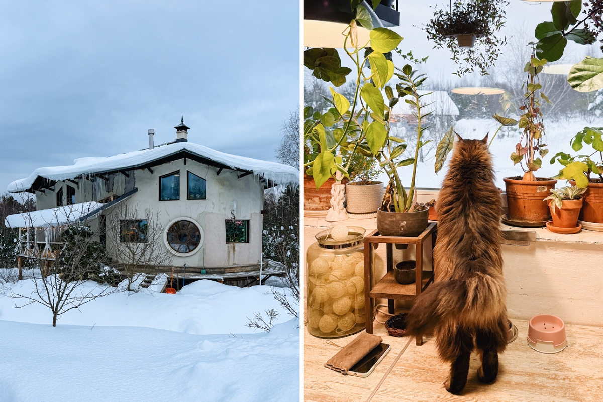 Дом-яйцо в окрестностях Тарусы