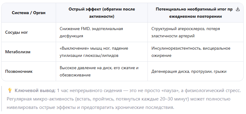 Каждый час сидения — это микроинфаркт для ваших сосудов. Почему нельзя «отсидеться»?