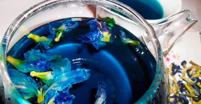 Пурпурный чай «чанг шу» стоит ли пить?