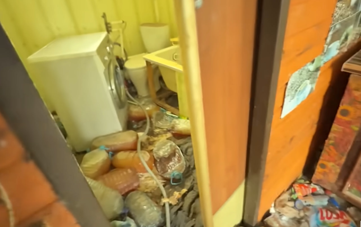 Фото: фрагмент видео канала "Вася на сене" на YouTube
