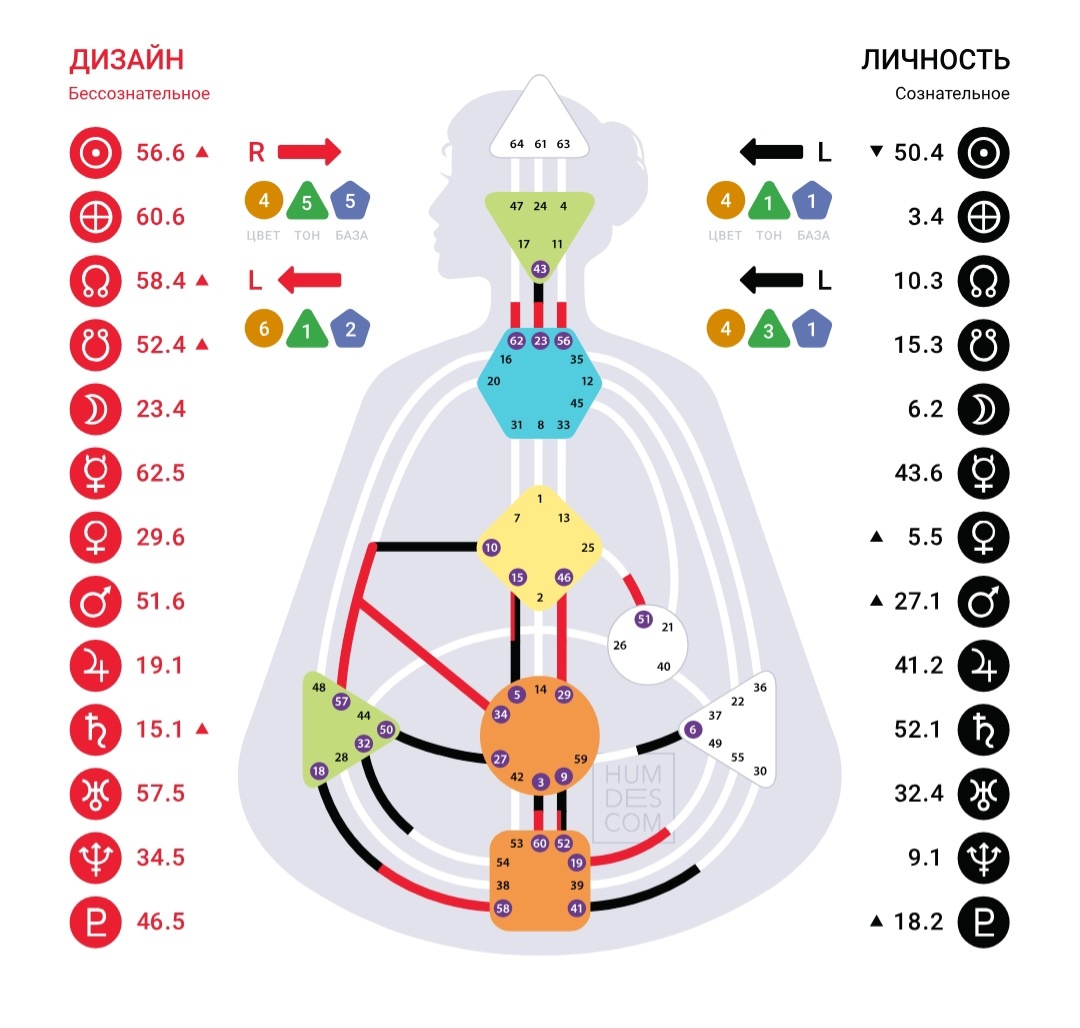 Так выглядит бодиграф