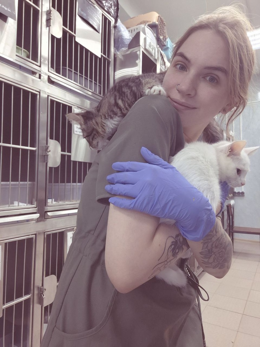 Ветеринар-бесёнок