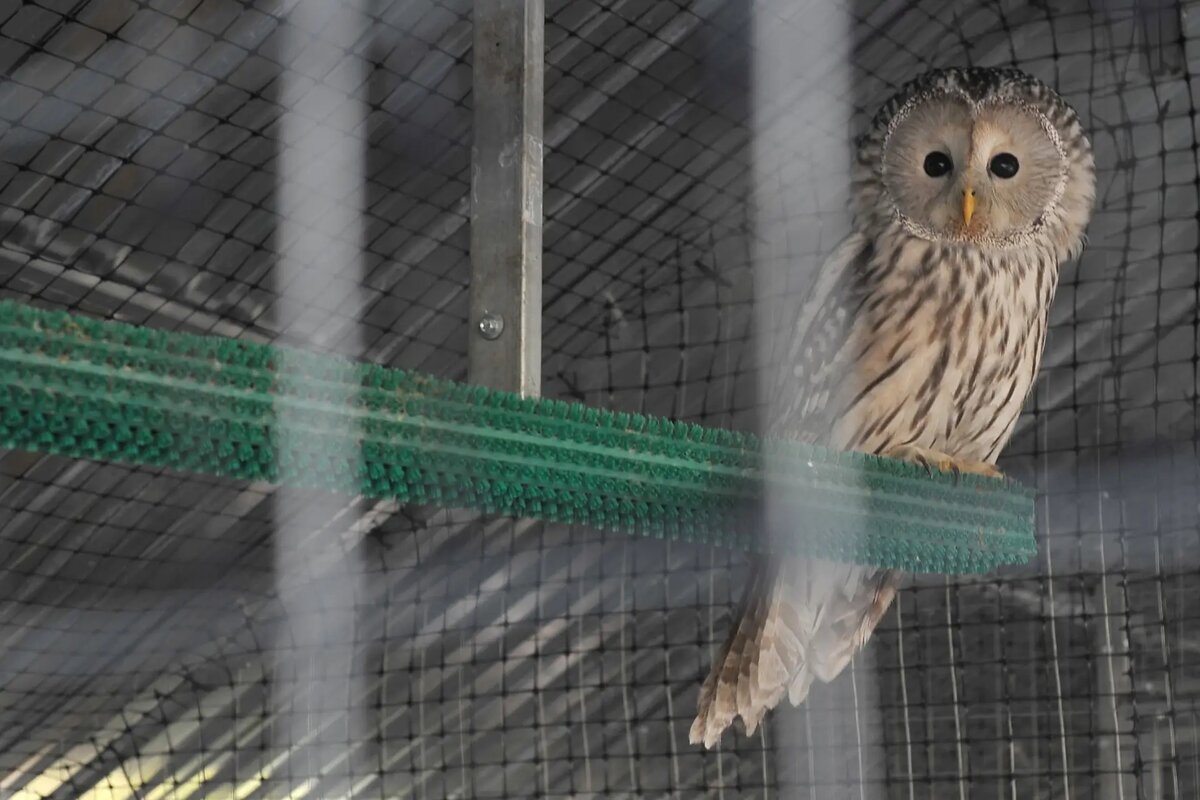     © РИА Новости. Алексей Сухоруков